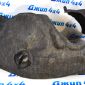 Подкрылок передний левый Jeep Grand Cherokee WK2 (войлок) 55079293AL