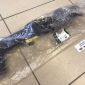 Патрубок радиатора Land Rover Discovery/Range Rover/Range Rover Sport (нижний) LR166362