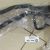 Патрубки системы охлаждения в развале двигателя Range Rover/Range Rover Sport LR006147