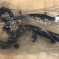 Патрубок радиатора Range Rover L405/Range Rover Sport L494 V4.4TD (нижний) LR080120