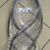 Ремень навесного оборудования Land Rover Discovery Sport L550/Range Rover Evoque L538 V2.0T Petrol LR066153
