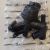 Термостат Land Rover Range Rover/Jaguar V2.0TD (с корпусом) TH69995G1