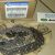 Цепь ГРМ Jeep Grand Cherokee WK2 V3.0 3.6 Jeep Cherokee KL V3.2 Dodge Ram 1500 V3.6 2011-2023 5184352AF