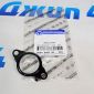 Прокладка помпы системы охлаждения Jeep Wrangler JL 2.0T (под два болта) 5048403AB